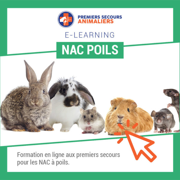 NAC-POILS-en-ligne