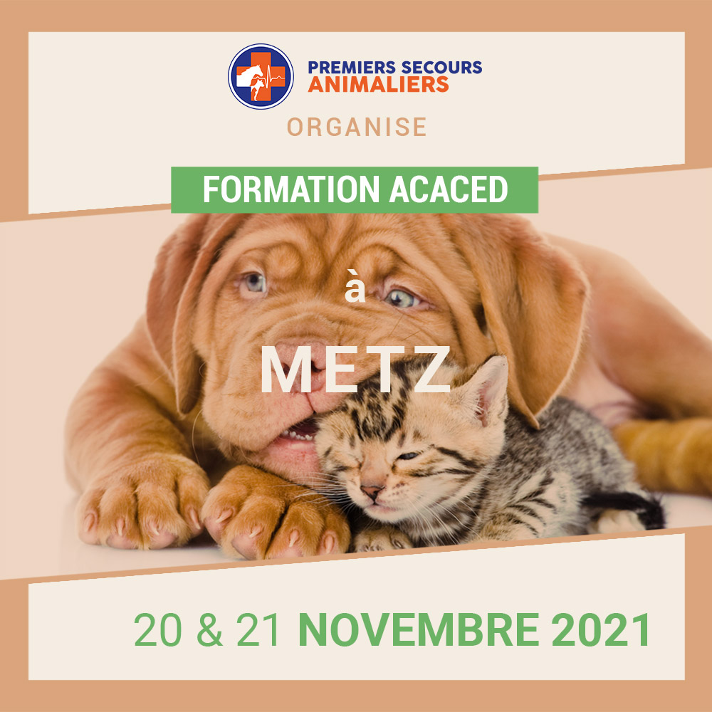 100 ACACED METZ - 20/21 Novembre 2021 u2013 Premiers Secours Animaliers